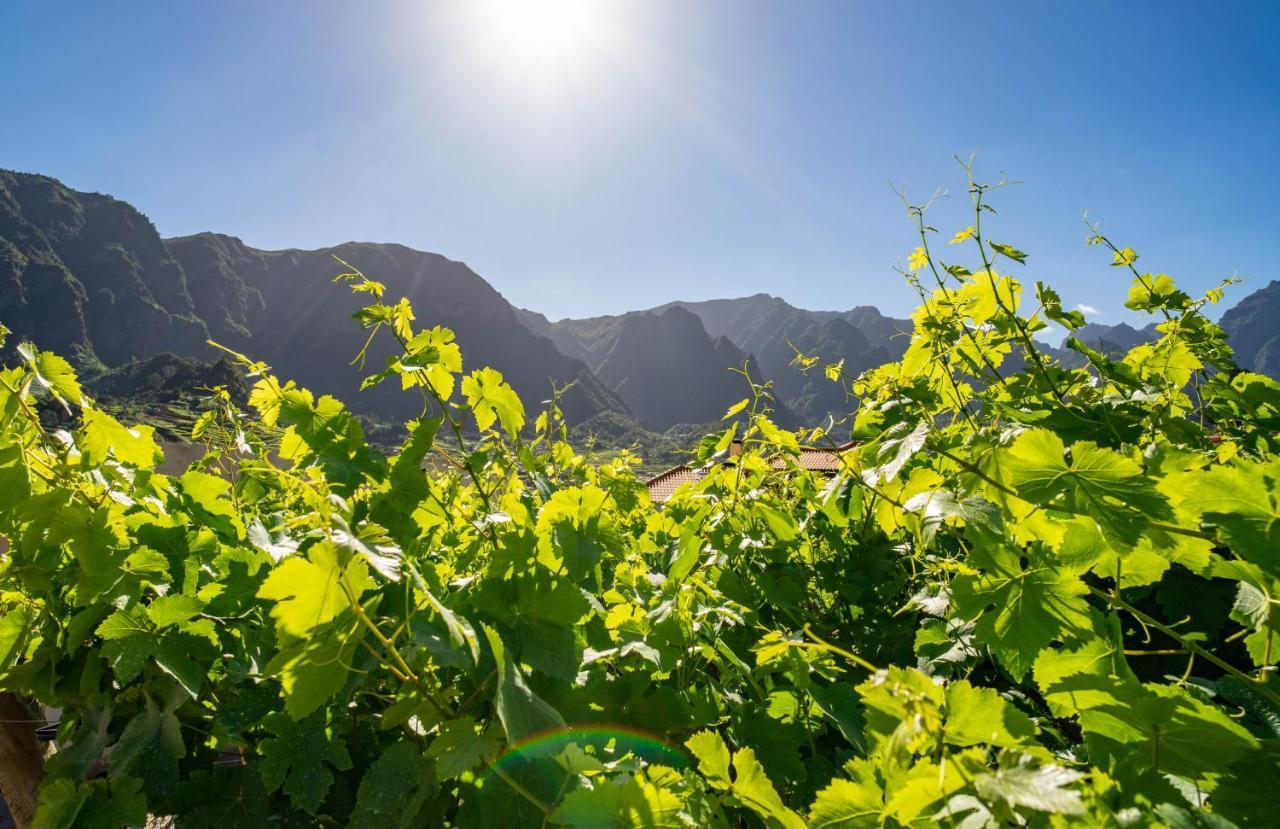 Вілла Quinta Vale Vitis Сан-Вісенте Екстер'єр фото